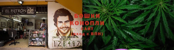 тгк Гусев