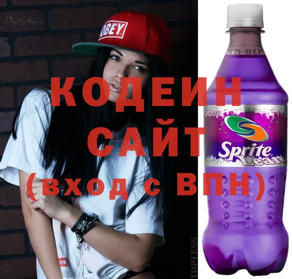 тгк Гусев