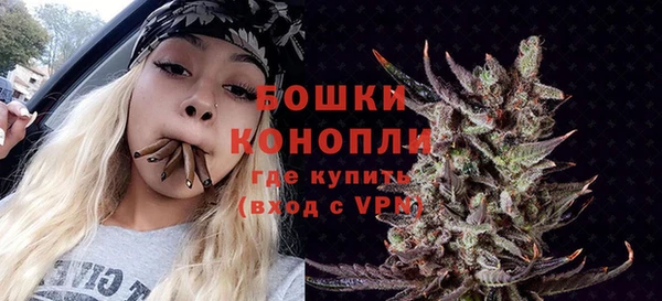 тгк Гусев