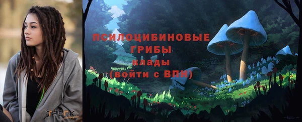 экстази Гусиноозёрск