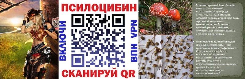 Галлюциногенные грибы Psilocybine cubensis  Купить закладки  Приволжск 