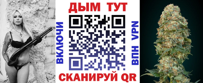 Купить где  Приволжск  Каннабис VHQ 